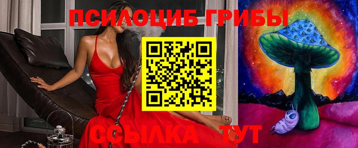 Псилоцибиновые грибы прущие грибы  Псилоцибиновые грибы прущие грибы  дарнет шоп  Вход с VPN  Фролово 